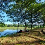 Profile picture of Fm