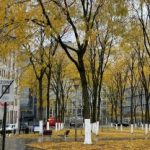 Profile picture of Moon