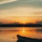 Profile picture of Amoda Amarasi