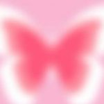 Profile picture of Duaa Alqise