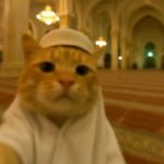 Profile picture of Mohamed