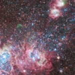 Profile picture of betül