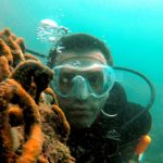 Profile picture of WALT