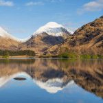 Profile picture of Rodrigo Silva