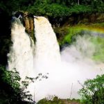 Profile picture of Marius