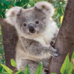 Profile picture of Wint Phoo