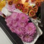 Profile picture of murod qodirov