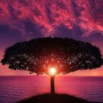 Profile picture of Konstanten