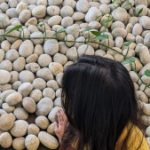 Profile picture of Nusrat