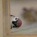 Profile picture of Danya