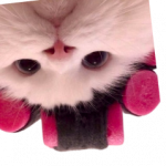 Profile picture of @mia