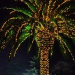 Profile picture of A1ex